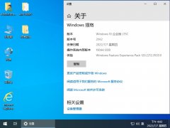 技術(shù)員 Windows10 LTSC X86 安裝7月版