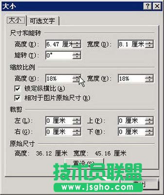 選擇Word 2007“大小”命令