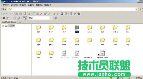 在LinuxVPS下架設(shè)Minecraft服務(wù)器