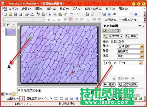 用PowerPoint輕松制作顯微鏡動畫特效